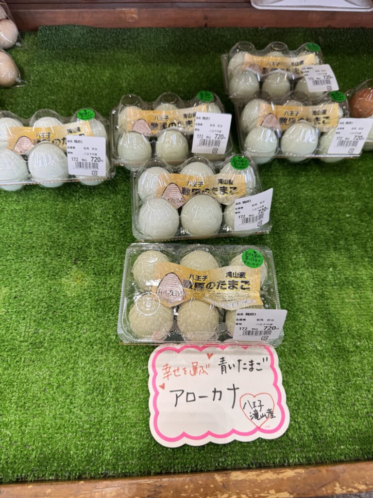 アローカナの卵